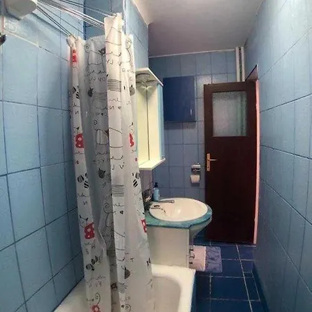Apartament De Inchiriat Ploiesti, Zona Bd Bucuresti דירה בוקרשט